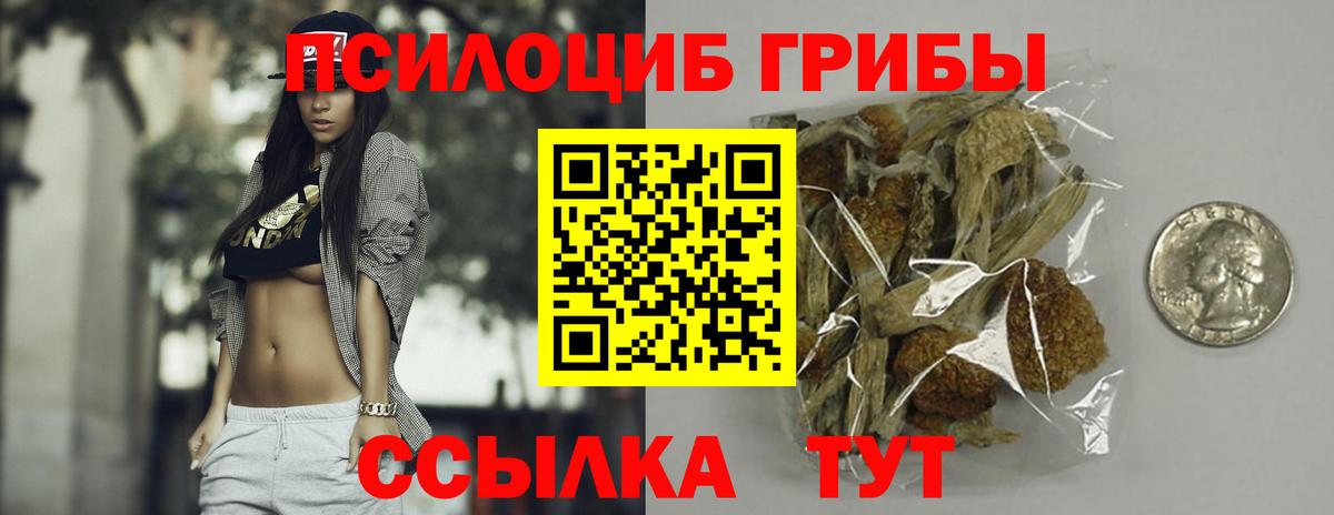 Назрань  Галлюциногенные грибы Cubensis  Галлюциногенные грибы ЛСД  Вход с VPN 